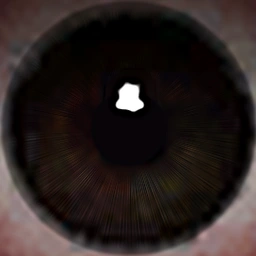 Eye color 7
