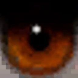 Original GTA eye texture